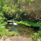 Review photo of Minneiska Campground — Whitewater State Park by Katrina G., August 1, 2021