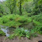 Review photo of Minneiska Campground — Whitewater State Park by Katrina G., August 1, 2021