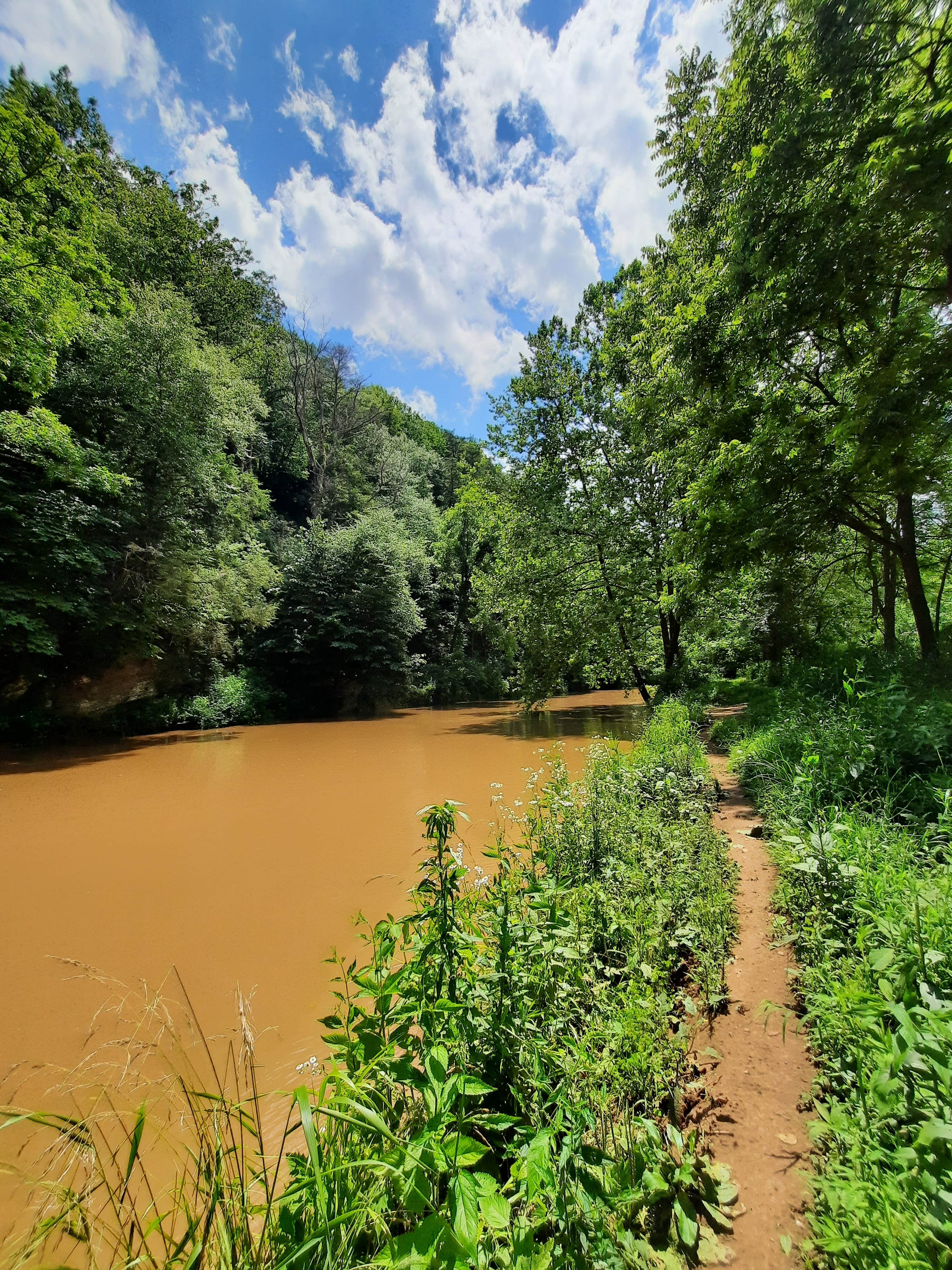 Camper submitted image from Raven Cliff Campground — George Washington & Jefferson National Forest - 5