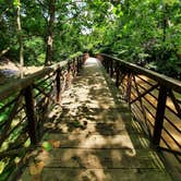 Review photo of Raven Cliff Campground — George Washington & Jefferson National Forest by Stephanie S., August 1, 2021