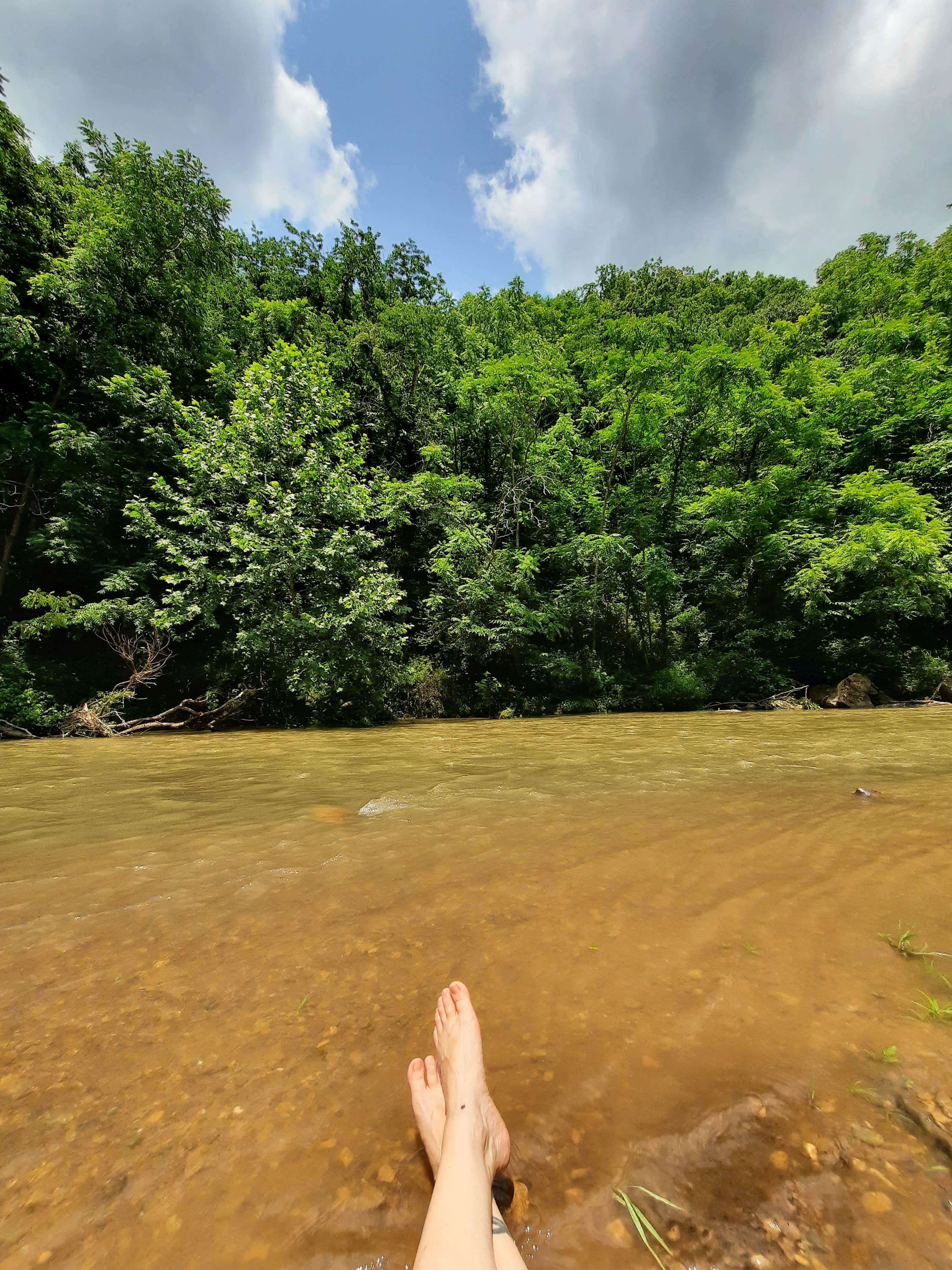 Camper submitted image from Raven Cliff Campground — George Washington & Jefferson National Forest - 3