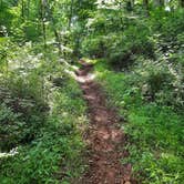 Review photo of Raven Cliff Campground — George Washington & Jefferson National Forest by Stephanie S., August 1, 2021