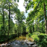 Review photo of Stone Mountain State Park Campground by Stephanie S., August 1, 2021