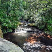 Review photo of Stone Mountain State Park Campground by Stephanie S., August 1, 2021