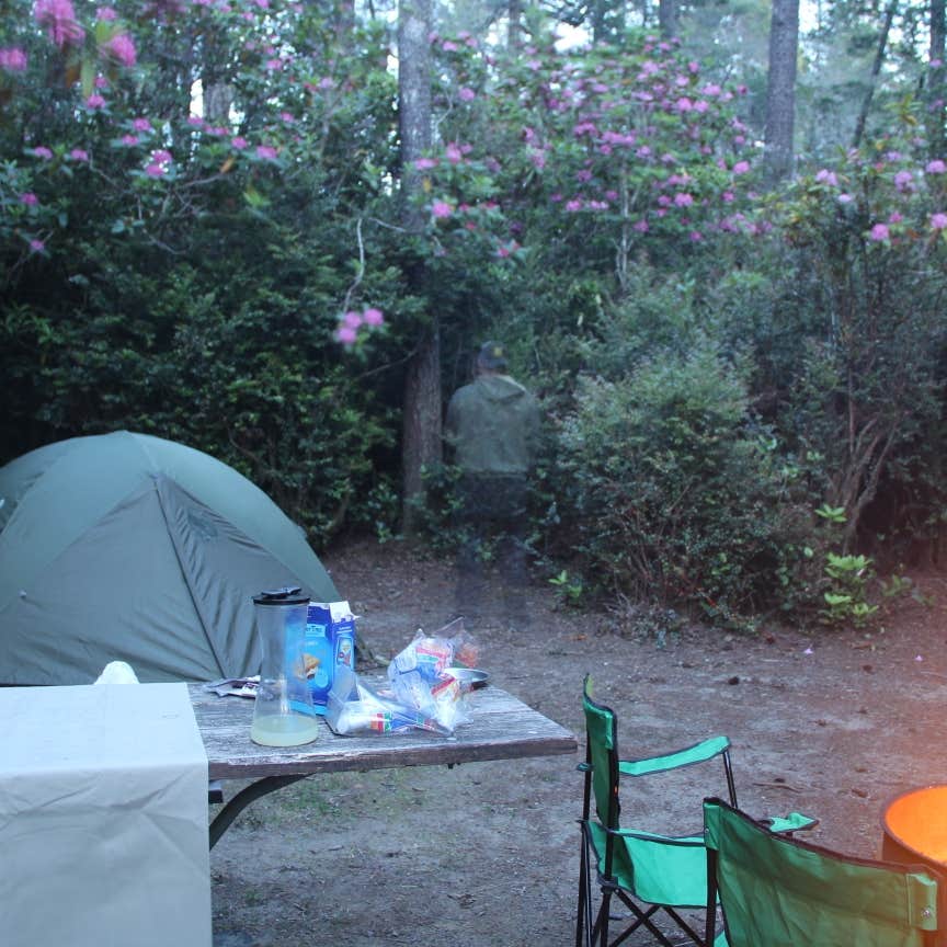 Eel Creek Campground Camping The Dyrt