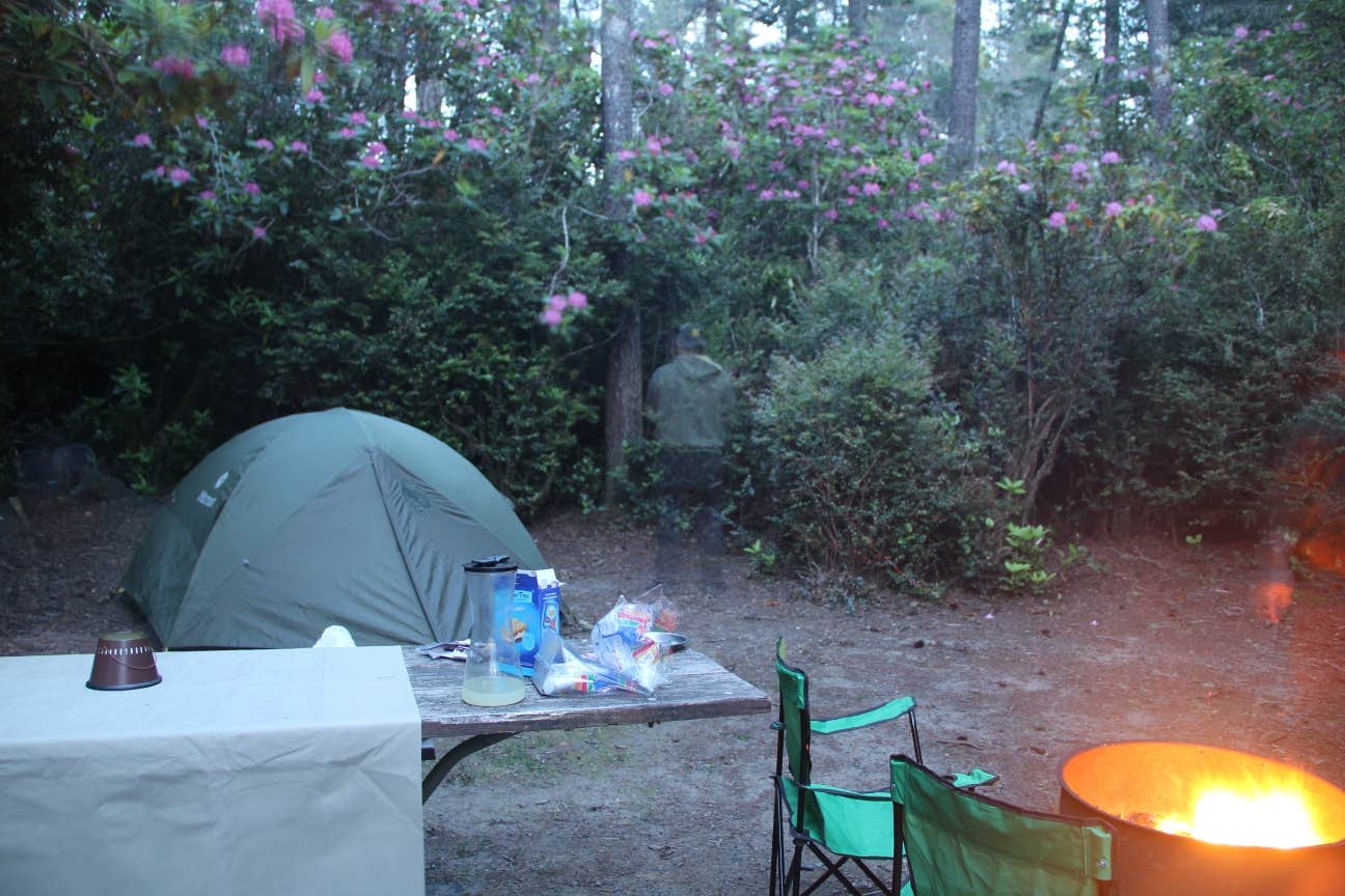 Camper submitted image from Eel Creek Campground - 5