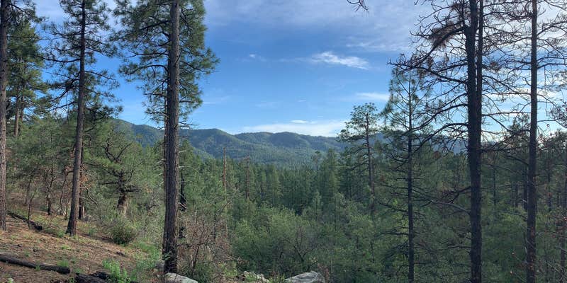 Camper submitted image from FDR80 Sundance Road Dispersed Camping