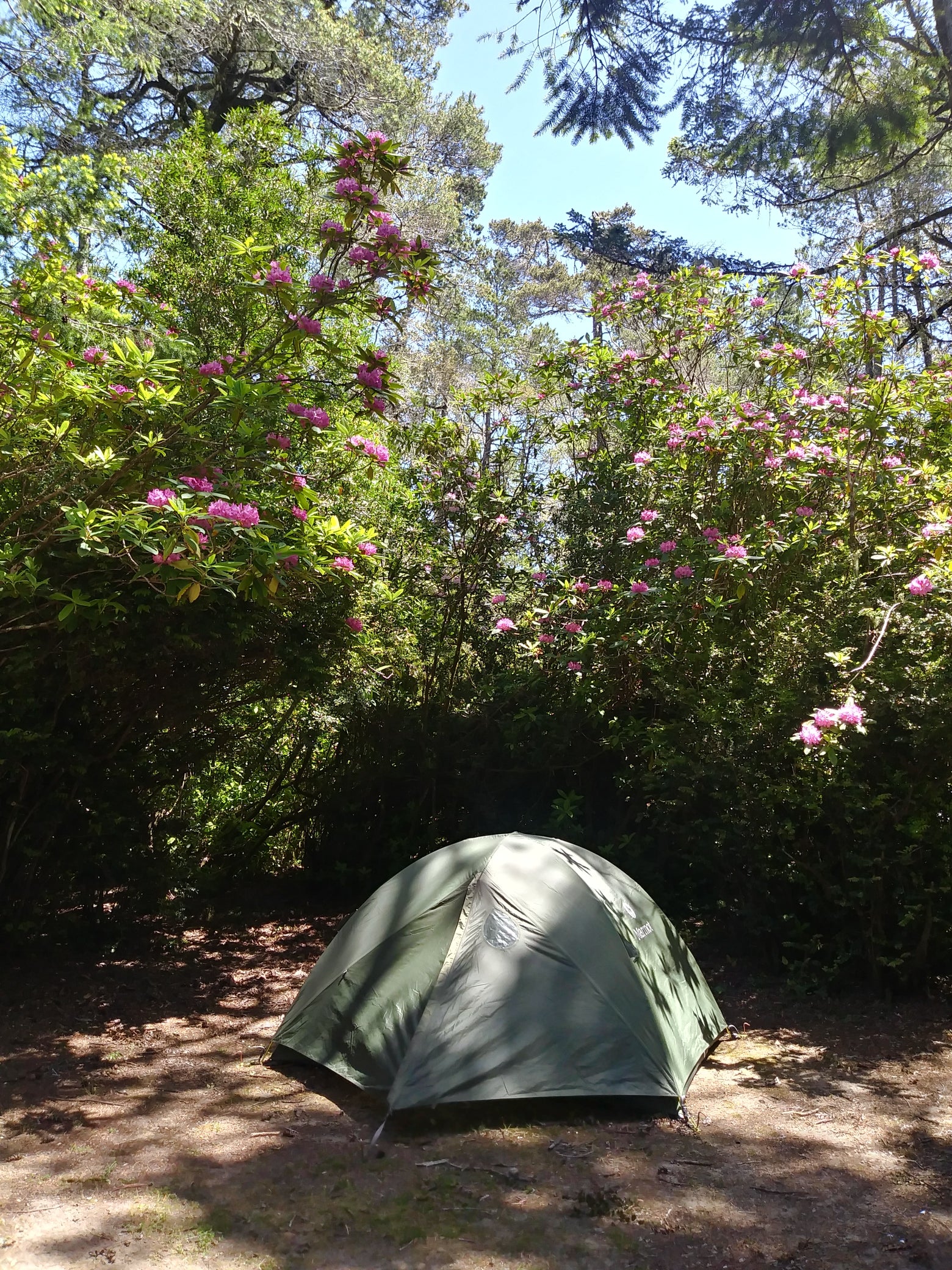 Camper submitted image from Eel Creek Campground - 4