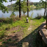 Review photo of Pittsburg Area Campground — Pomme de Terre State Park by Chris H., August 1, 2021