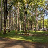 Review photo of Sam A. Baker State Park Campground by Ben S., August 1, 2021