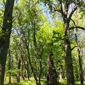 Review photo of Ledges State Park Campground by Carolyn C., August 1, 2021