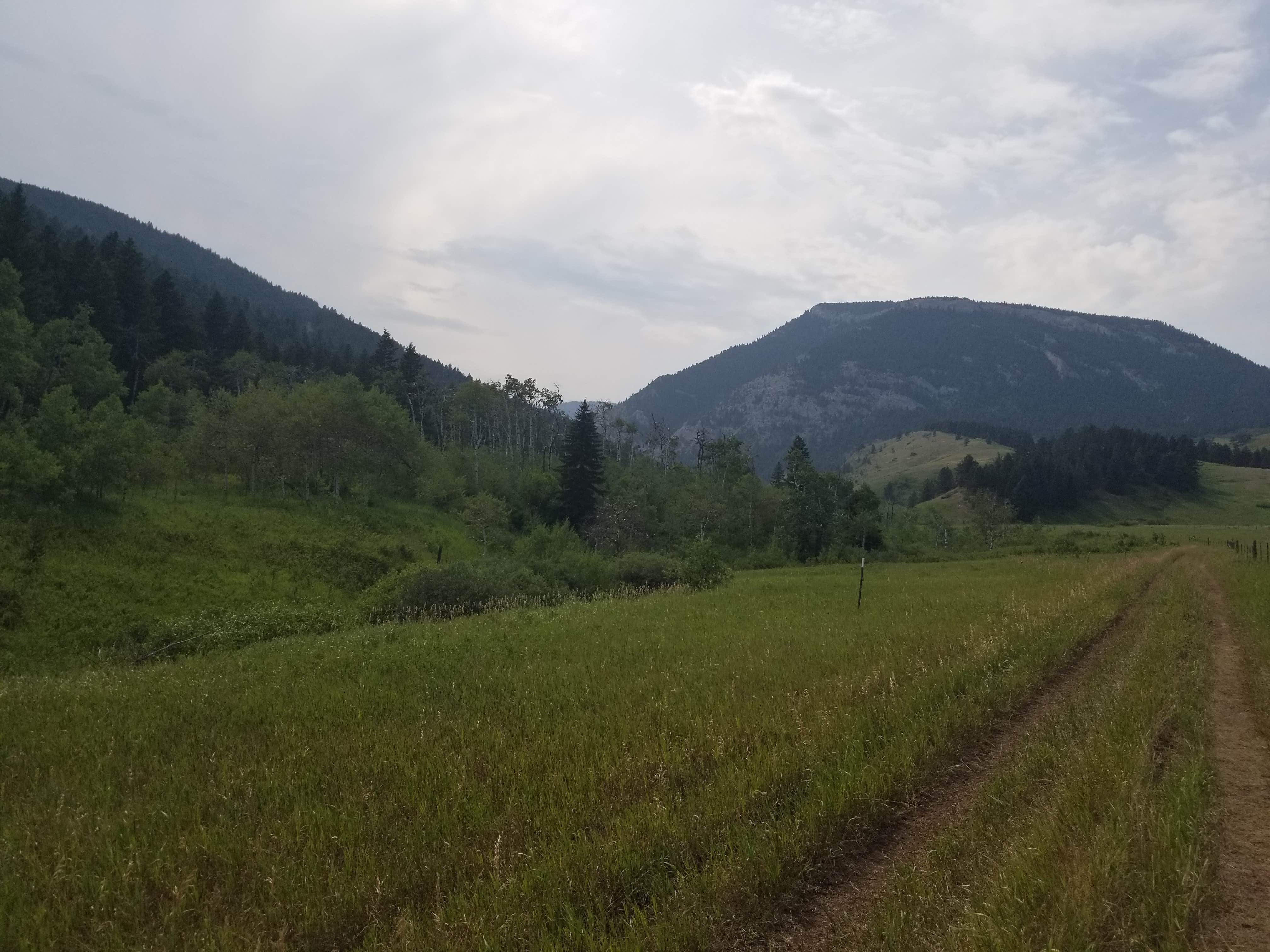 Camper submitted image from Meyers Creek Cabin - 4