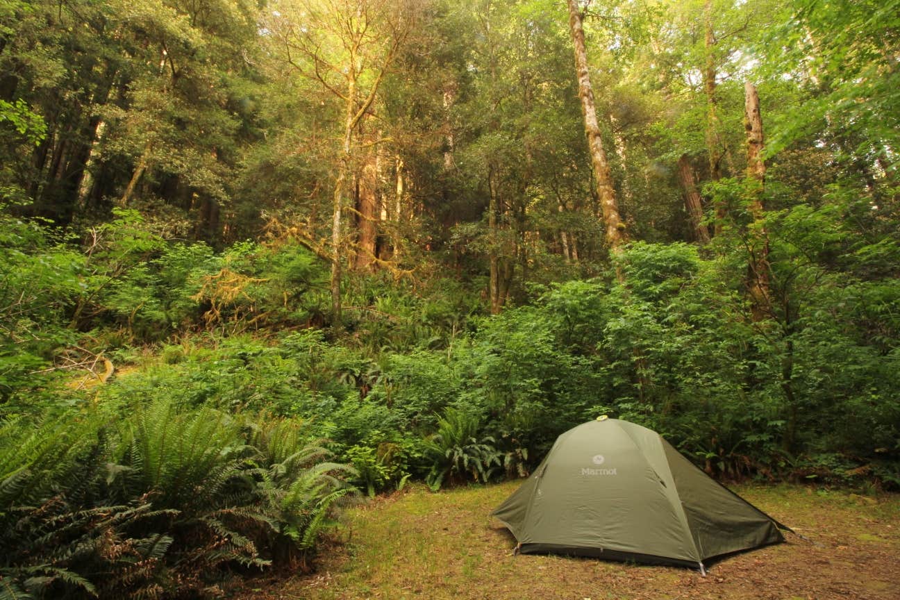 Camper-submitted photo at Mill Creek Campground — Del Norte Coast Redwoods State Park near Klamath, CA