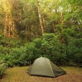 Review photo of Mill Creek Campground — Del Norte Coast Redwoods State Park by Deanna F., June 17, 2018