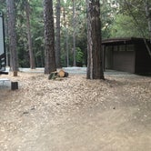Review photo of Schoolhouse Campground (CA) by Travis C., August 1, 2021