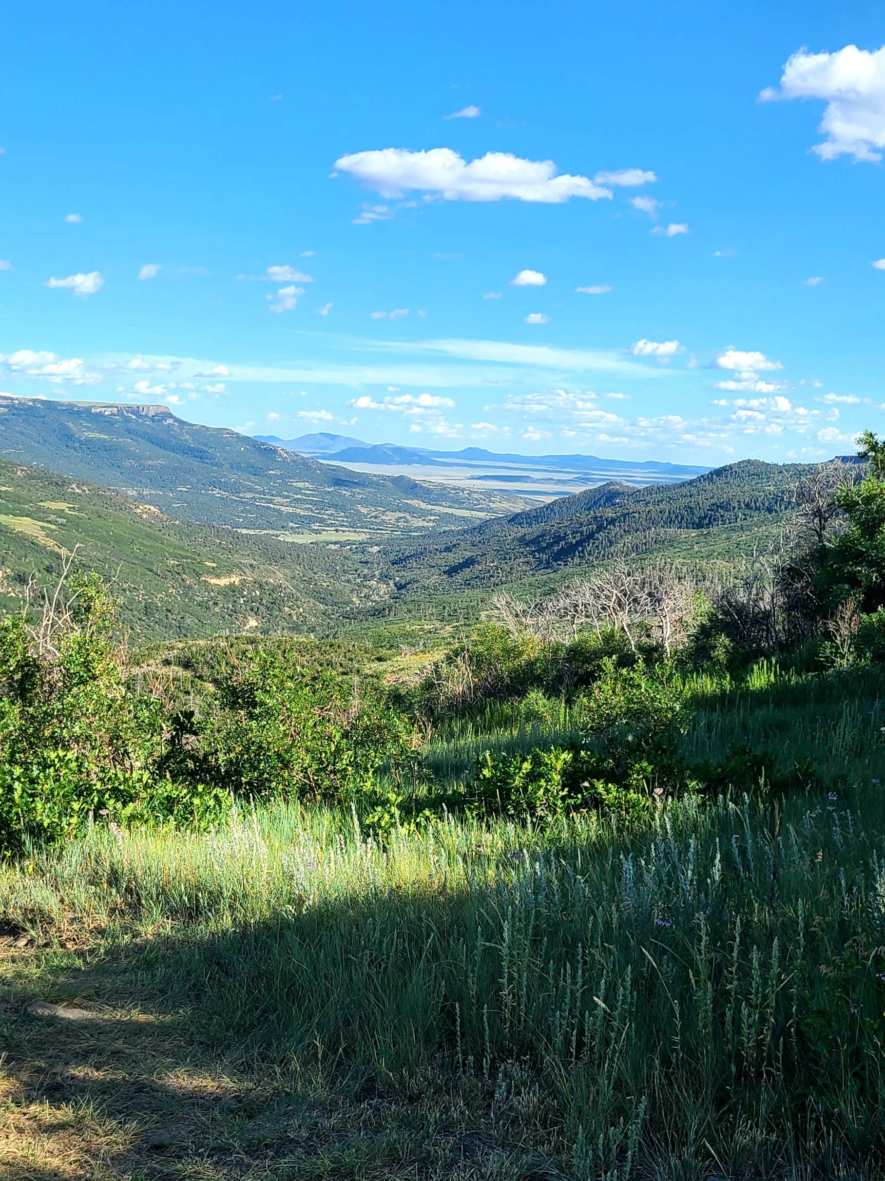 Camper submitted image from Soda Pocket Campground — Sugarite Canyon State Park - 2