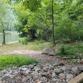 Review photo of Grandview Sandbar Campground — New River Gorge National Park and Preserve by Cory G., August 2, 2021