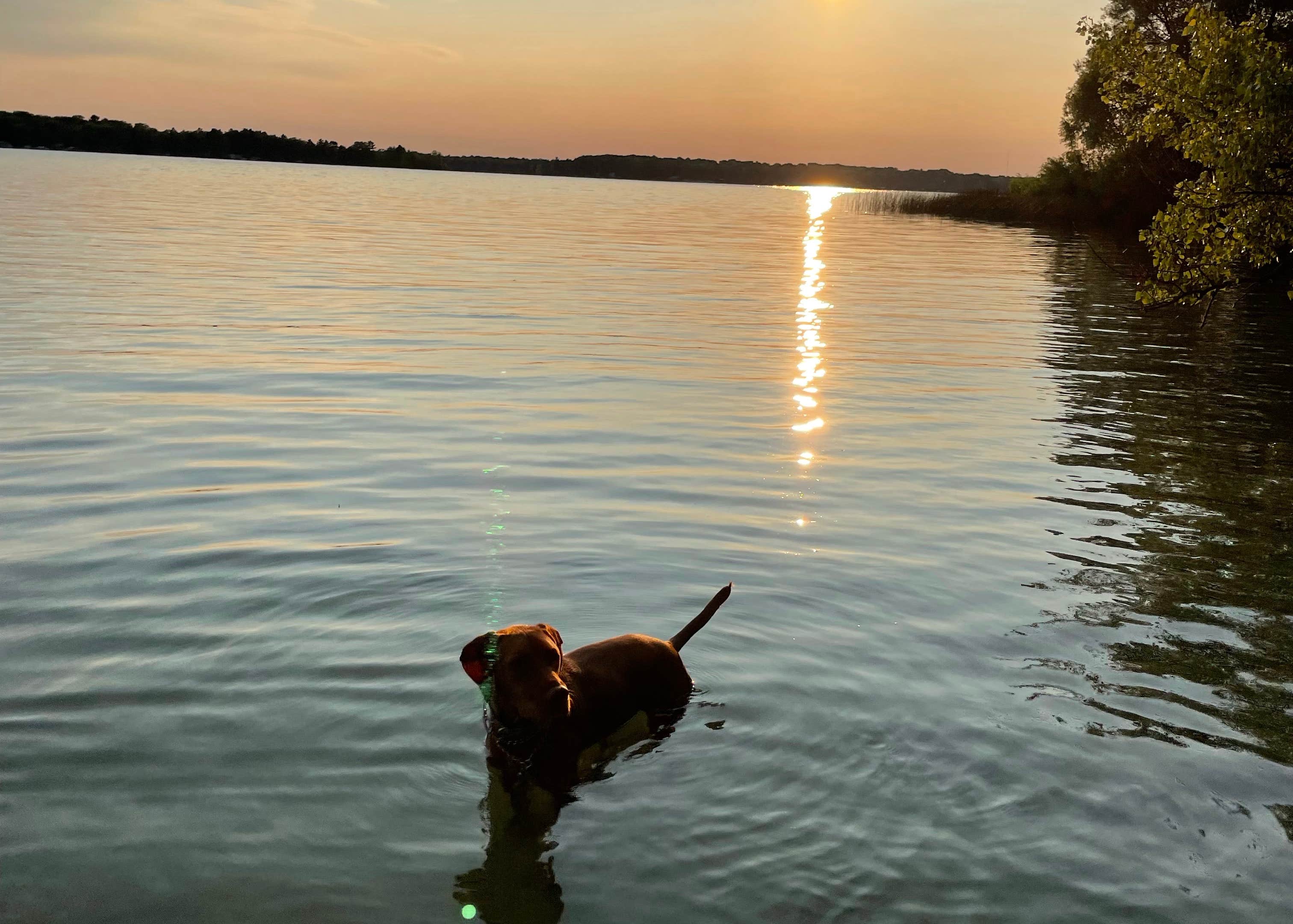 Green Lake Rustic North Interlochen State Park Camping The Dyrt