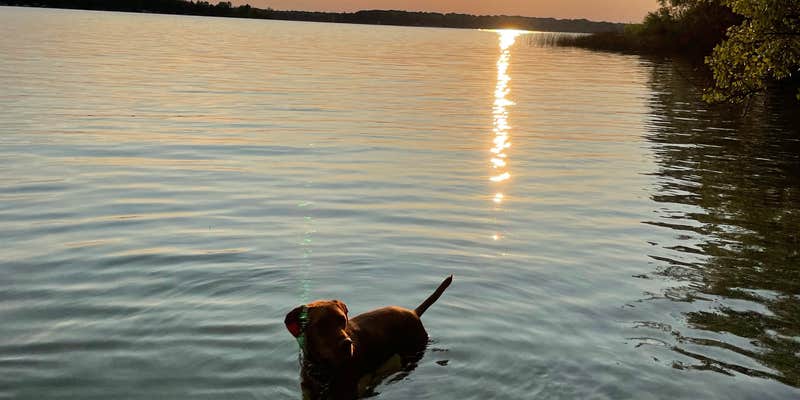 Camper submitted image from Green Lake Rustic North — Interlochen State Park