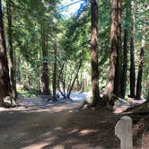 Review photo of Limekiln State Park Campground — TEMPORARILY CLOSED by keith B., August 2, 2021