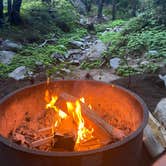 Review photo of Limekiln State Park Campground — TEMPORARILY CLOSED by keith B., August 2, 2021