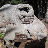 Review photo of Mazama Village Campground — Crater Lake National Park by Robert D., August 2, 2021