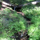 Review photo of Mazama Village Campground — Crater Lake National Park by Robert D., August 2, 2021