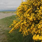 Review photo of Fort Stevens State Park Campground by Deanna F., June 17, 2018