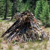 Review photo of Mazama Village Campground — Crater Lake National Park by Robert D., August 2, 2021