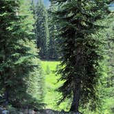 Review photo of Mazama Village Campground — Crater Lake National Park by Robert D., August 2, 2021