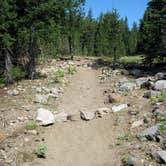 Review photo of Mazama Village Campground — Crater Lake National Park by Robert D., August 2, 2021