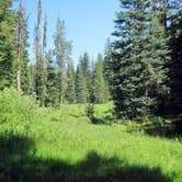 Review photo of Mazama Village Campground — Crater Lake National Park by Robert D., August 2, 2021