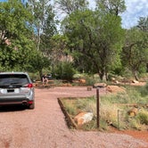 Review photo of Watchman Campground — Zion National Park by Rachel N., August 2, 2021