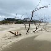 Review photo of Beachside State Recreation Site by Marcia  M., August 2, 2021