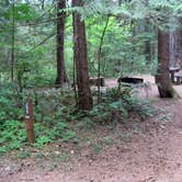 Review photo of Blue Pool — Willamette National Forest by Robert D., August 2, 2021