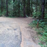 Review photo of Blue Pool — Willamette National Forest by Robert D., August 2, 2021