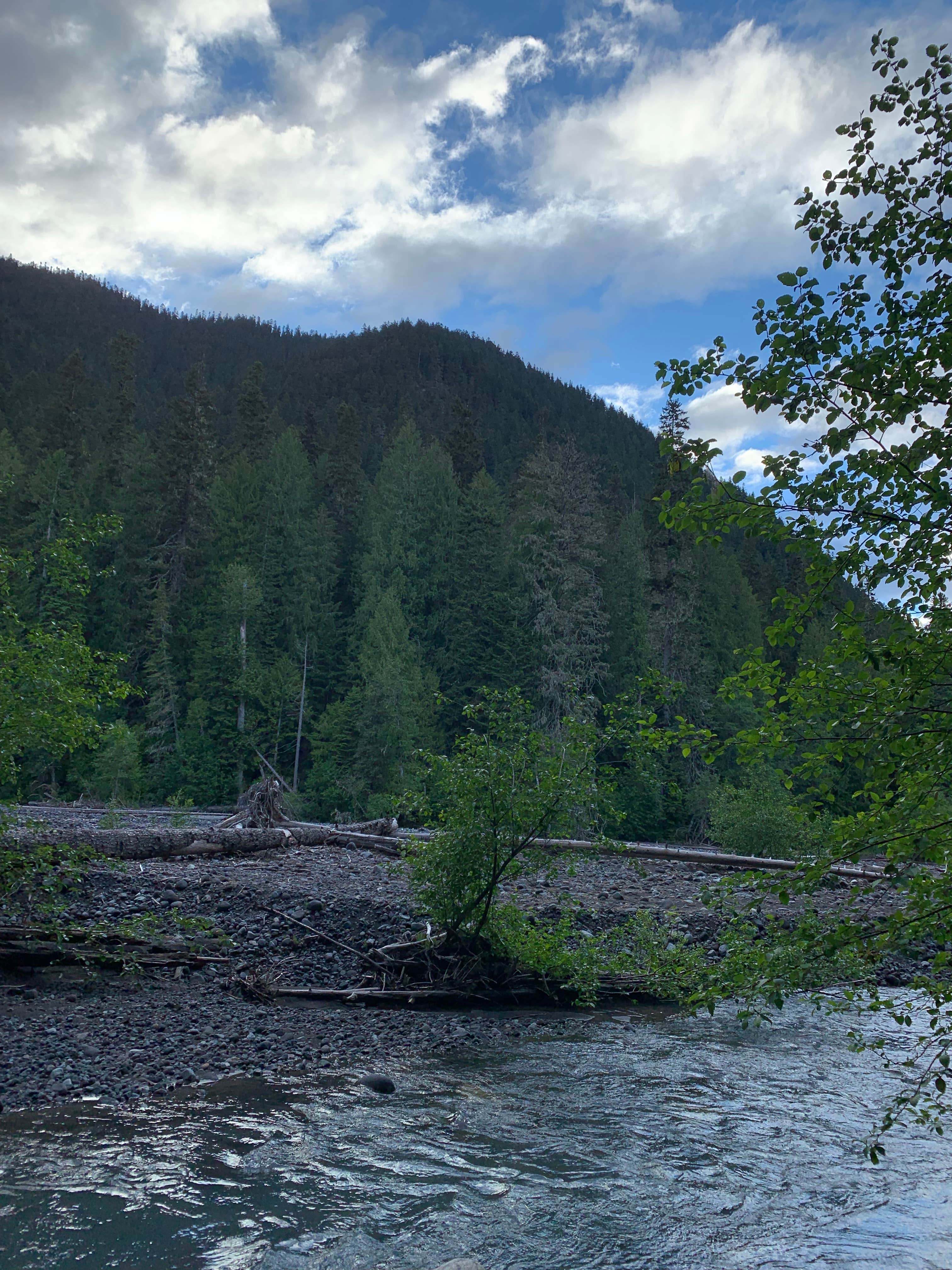 Best camping near Kent, Washington The Dyrt