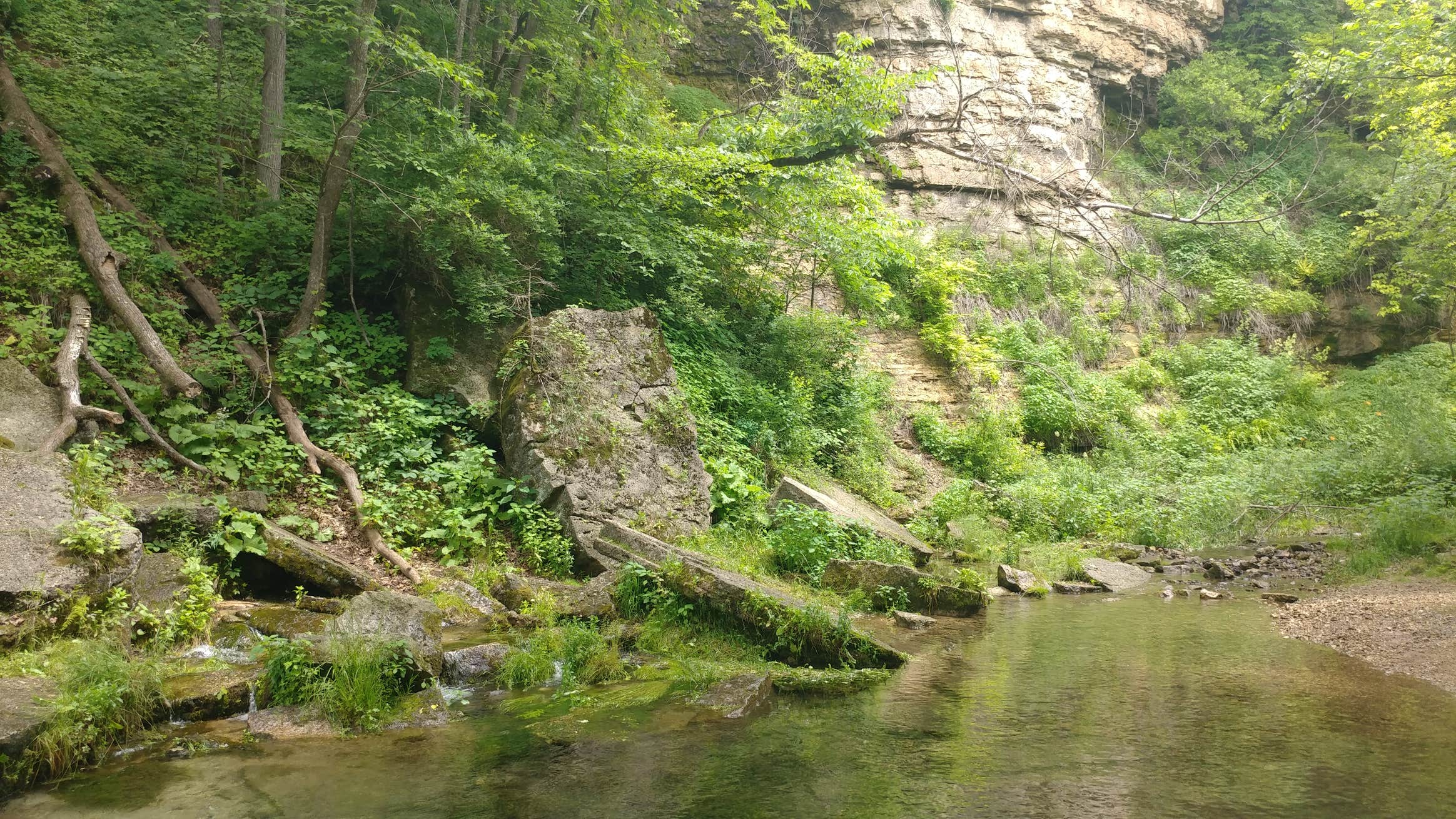Water