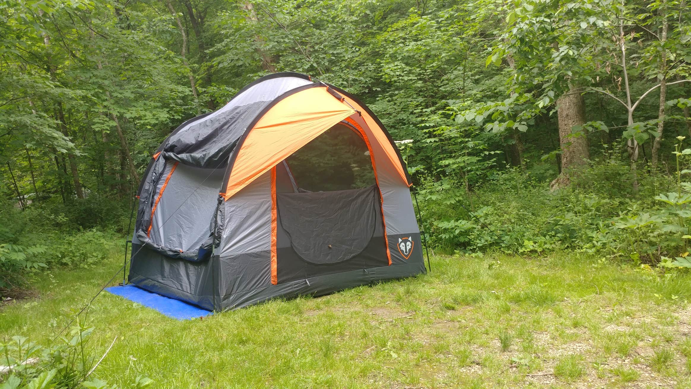 Camper-submitted photo at Beaver Creek Valley State Park Campground near Money Creek, MN