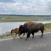 Review photo of Grant Village Campground — Yellowstone National Park by Justin , August 2, 2021