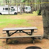 Review photo of Thomas Point Beach and Campground by Shannon M., August 2, 2021