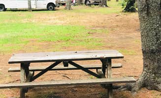 Shannon M.'s photo of rv camping at Thomas Point Beach and Campground near South Bristol, ME