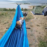 Review photo of Arapaho National Forest Stillwater Campground by brian F., August 2, 2021
