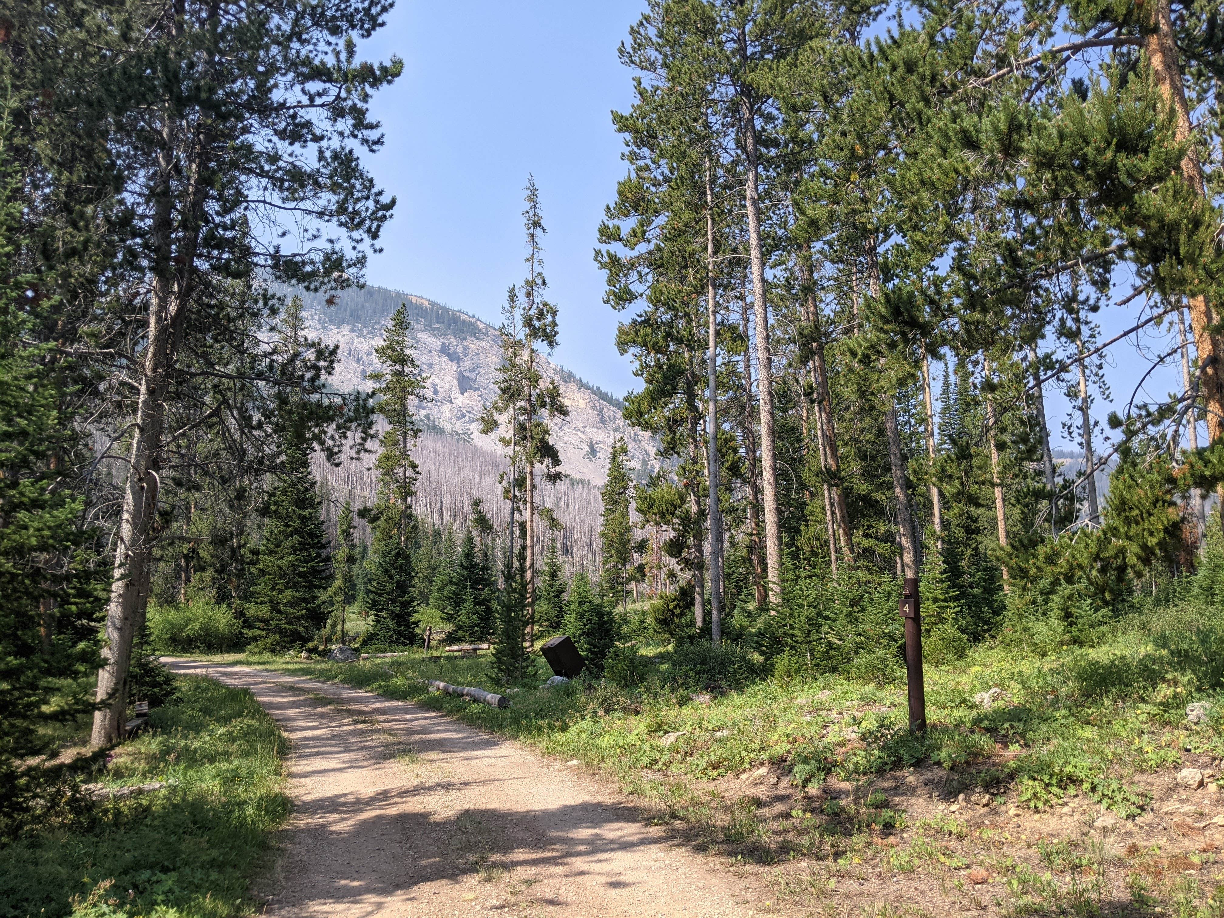 Camper submitted image from Sacajawea - 4