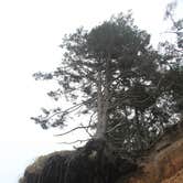 Review photo of Cape Lookout State Park Campground by Deanna F., June 17, 2018
