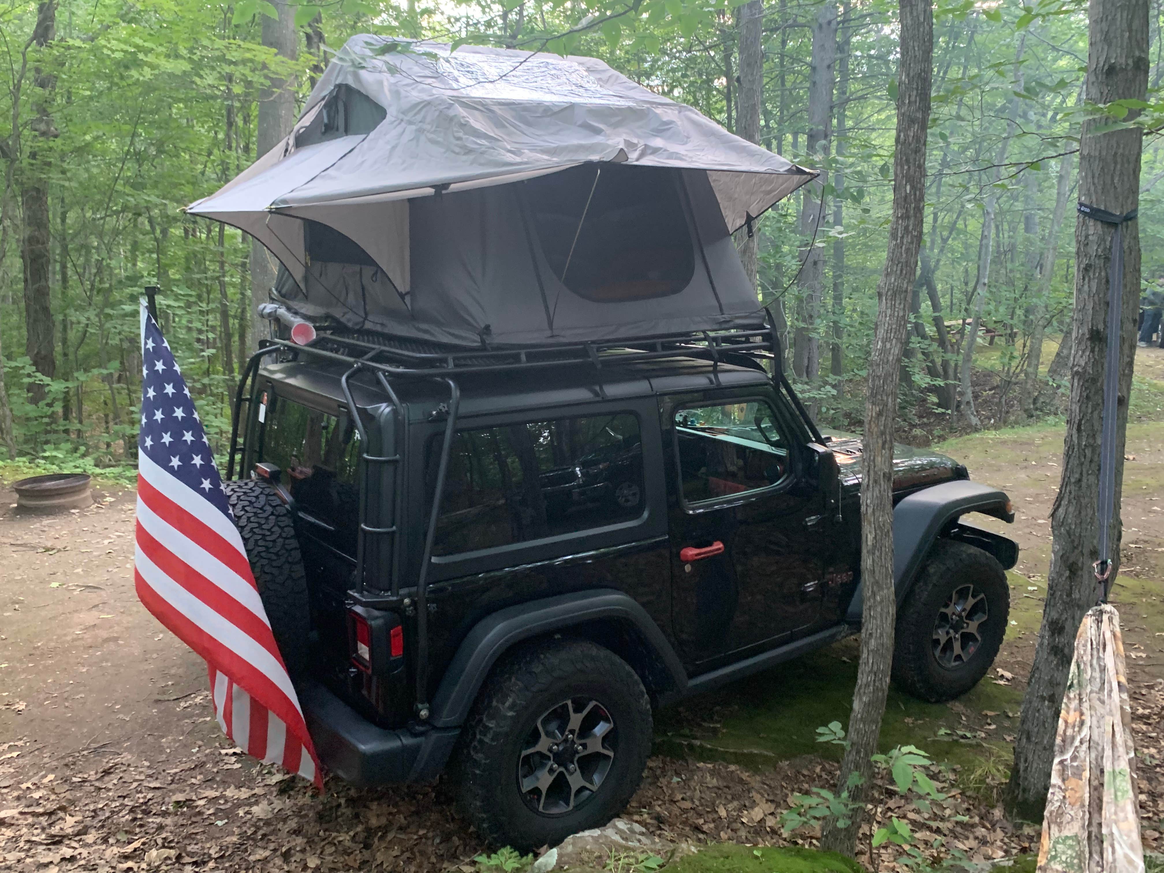 Camper submitted image from Timberland Campground - 4