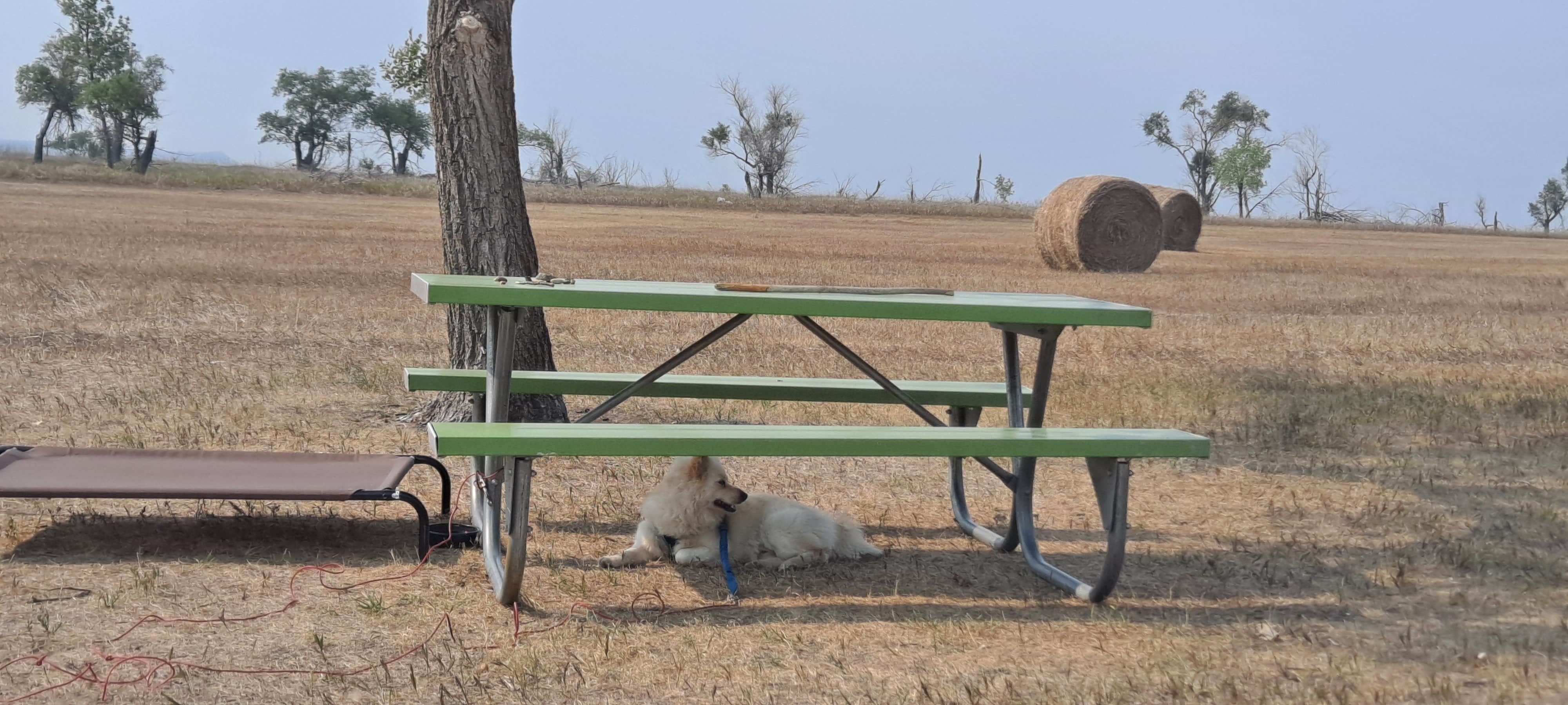Camper-submitted photo at Hazelton Area - Lake Oahe near Cannon Ball, ND