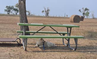 Jerry  S.'s photo of camping with pets at Hazelton Area - Lake Oahe near Mandan, ND