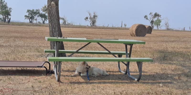 Camper submitted image from Hazelton Area - Lake Oahe