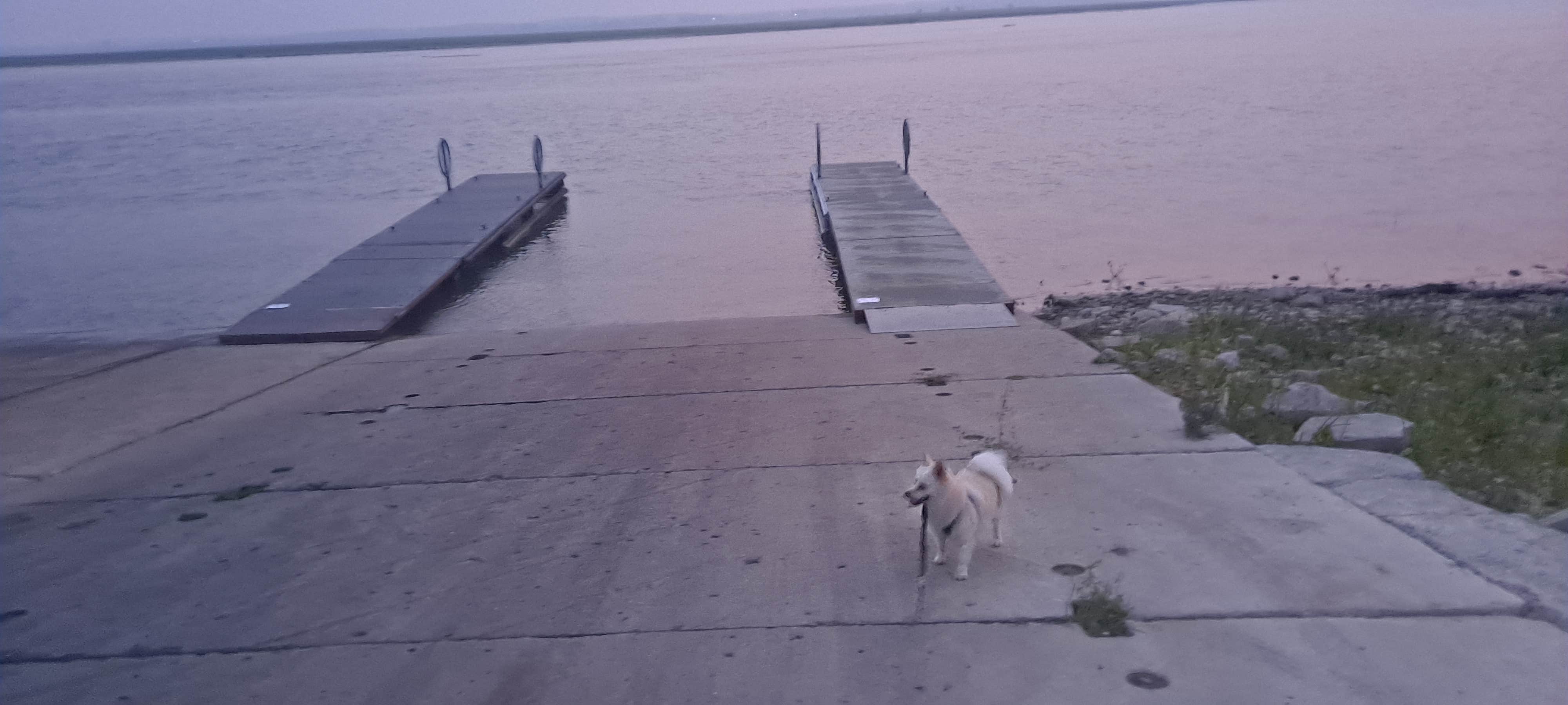 Jerry  S.'s photo of camping with pets at Hazelton Area - Lake Oahe near Cannon Ball, ND